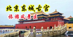 午夜小穴嘿嘿嘿h中国北京-东城古宫旅游风景区